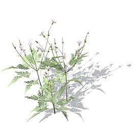 植物花草裝飾素材室內裝飾用品素材花草3d模型下載 2