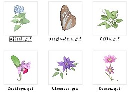 植物花草裝飾素材室內(nèi)裝飾用品素材3d模型素材 18