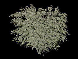 植物花草裝飾素材室內裝飾用品素材室內裝飾素材 85