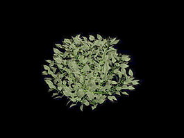 植物花草裝飾素材室內裝飾用品素材室內裝飾素材 89