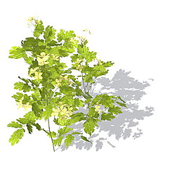 植物花草裝飾素材室內(nèi)裝飾用品素材室內(nèi)裝飾素材 60