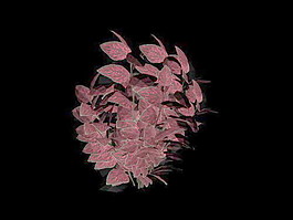植物花草裝飾素材室內(nèi)裝飾用品素材花草3d模型下載 97