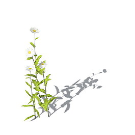 植物花草裝飾素材室內裝飾用品素材室內裝飾素材 71