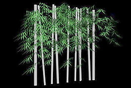 植物竹子裝飾素材3d模型下載竹裝飾素材下載 10