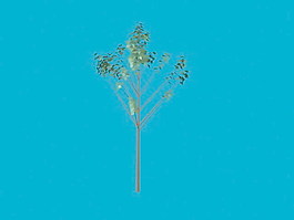 植物花草裝飾素材室內裝飾用品素材室內裝飾素材 99