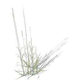 植物花草裝飾素材室內(nèi)裝飾用品素材室內(nèi)裝飾素材 82