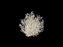 植物花草裝飾素材室內(nèi)裝飾用品素材室內(nèi)裝飾素材 90