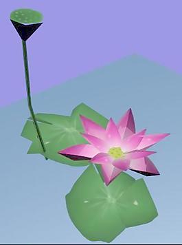 植物荷花装饰素材室内用品素材植物3d模型下载 3