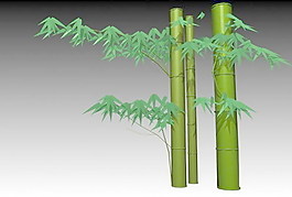 植物竹子裝飾素材3d模型下載家居素材免費(fèi)下載 7