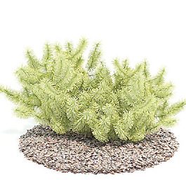 植物國外精品裝飾素材免費(fèi)下載植物3d模型 17