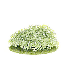 植物國外精品裝飾素材免費(fèi)下載國外3d模型 10