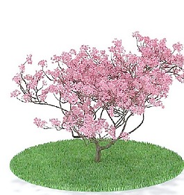 植物國外精品裝飾素材免費(fèi)下載國外3d模型 81