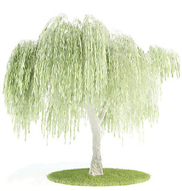 植物國外精品裝飾素材免費(fèi)下載3d裝修素材 30