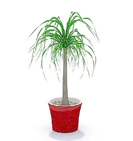 植物國外精品素材裝飾素材免費(fèi)下載國外裝飾素材 11