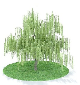 植物國外精品裝飾素材免費下載植物3d模型 60