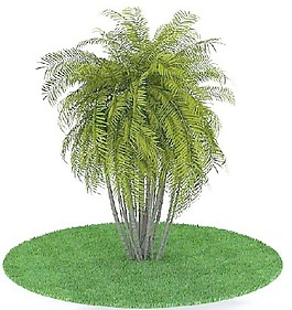 植物國外精品裝飾素材免費(fèi)下載3d裝飾素材 71
