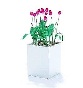 植物國外精品素材裝飾素材免費下載植物3d模型 23