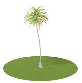 植物國外精品素材裝飾素材免費下載室內(nèi)裝飾素材 27