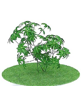 植物國外精品裝飾素材免費下載3d裝飾素材 83