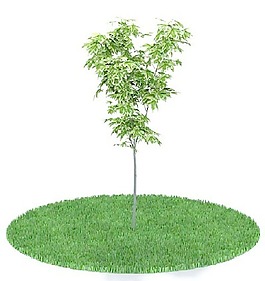 植物國外精品裝飾素材免費(fèi)下載3d裝飾素材 76