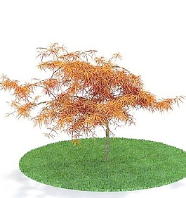 植物國外精品裝飾素材免費(fèi)下載3d裝修素材 80