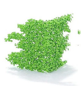 植物國外精品素材裝飾素材免費(fèi)下載植物3d模型 1