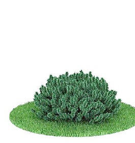 植物國(guó)外精品裝飾素材免費(fèi)下載3d裝飾素材 88