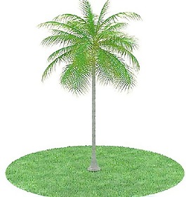 植物國外精品裝飾素材免費(fèi)下載國外3d模型 70
