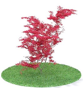 植物國外精品裝飾素材免費(fèi)下載國外3d模型 82