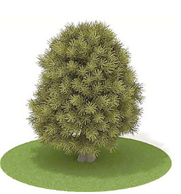 植物國外精品素材裝飾素材免費(fèi)下載植物3d模型 33