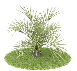 植物國外精品素材裝飾素材免費(fèi)下載國外裝飾素材 51