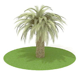 植物國外精品素材裝飾素材免費(fèi)下載植物3d模型 30