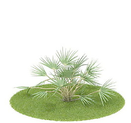 植物國(guó)外精品素材裝飾素材免費(fèi)下載裝修素材免費(fèi)下載 37