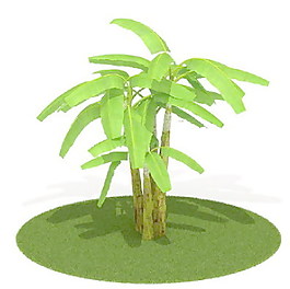 植物國外精品素材裝飾素材免費下載室內(nèi)裝飾素材 38