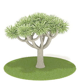植物國外精品素材裝飾素材免費下載室內(nèi)裝飾素材 32