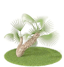 植物國外精品素材裝飾素材免費下載植物3d模型 54