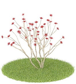 植物國(guó)外精品素材裝飾素材免費(fèi)下載室內(nèi)裝飾素材 65