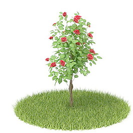 植物國(guó)外精品素材裝飾素材免費(fèi)下載植物3d模型 69