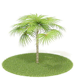 植物國外精品素材裝飾素材免費(fèi)下載家居裝修素材 40