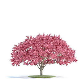 植物國外精品素材裝飾素材免費(fèi)下載植物3d模型 103