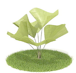 植物國外精品素材裝飾素材免費(fèi)下載家居裝修素材 60
