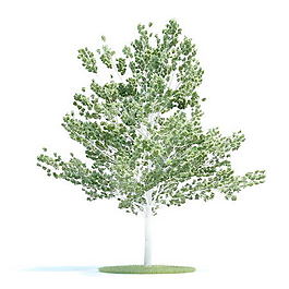 植物國外精品素材裝飾素材免費(fèi)下載植物3d模型 94