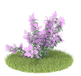 植物國外精品素材裝飾素材免費(fèi)下載植物3d模型 76