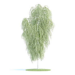 植物國(guó)外精品素材裝飾素材免費(fèi)下載室內(nèi)裝飾素材 109