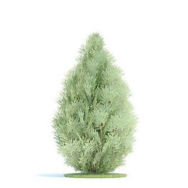 植物國外精品素材裝飾素材免費下載室內裝飾素材 113