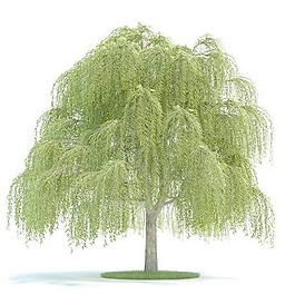 植物國(guó)外精品素材裝飾素材免費(fèi)下載室內(nèi)裝飾素材 104