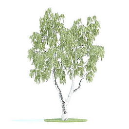 植物國外精品素材裝飾素材免費(fèi)下載裝修素材免費(fèi)下載 130