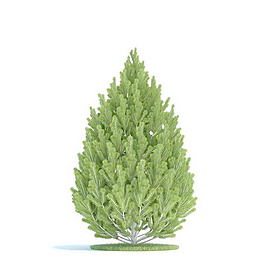 植物國外精品素材裝飾素材免費(fèi)下載室內(nèi)裝飾素材 112
