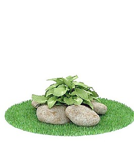 植物國外精品素材裝飾素材免費下載國外裝飾素材 153