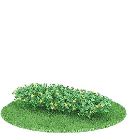植物國外精品素材裝飾素材免費(fèi)下載室內(nèi)裝飾素材 157